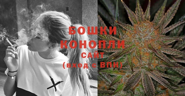 2c-b Мегион