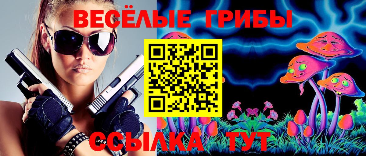 Галлюциногенные грибы MAGIC MUSHROOMS  Малгобек 