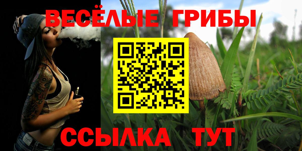 Псилоцибиновые грибы Cubensis  Вход с VPN  Малгобек 