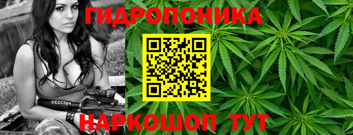 Малгобек  Бошки Шишки LSD WEED  Вход с VPN  МАРИХУАНА гибрид 